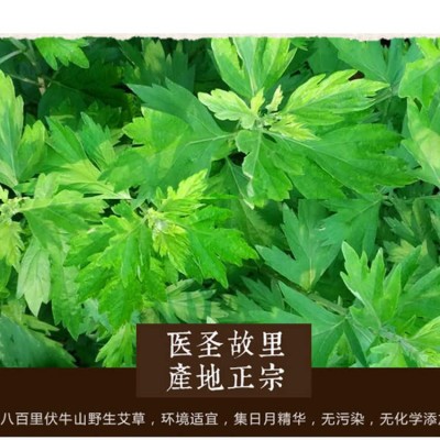 30：1黃金艾絨 五年陳手工袋裝散裝艾絨500g 艾絨灸南陽廠家批發(fā)