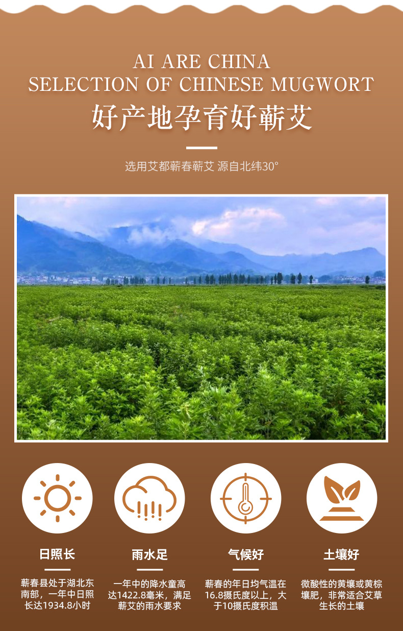 未標題-1_03