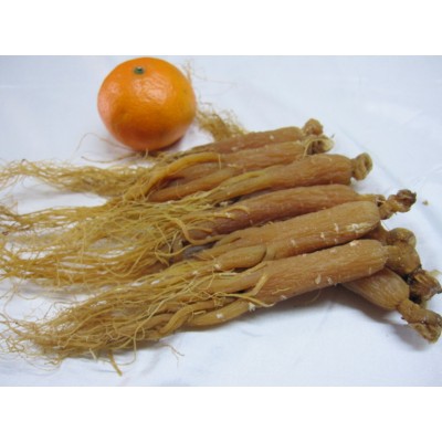 長白山紅參 人參吉林人參 人參批發 高麗參500g