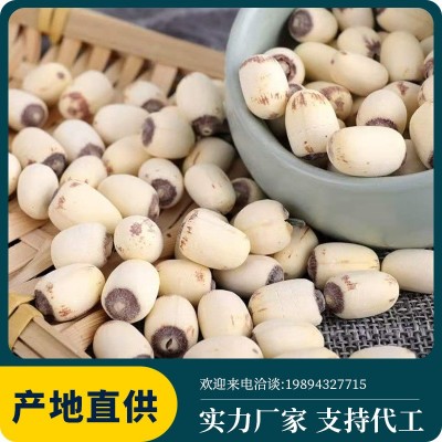 蓮子新鮮去芯磨皮白蓮紅蓮節(jié)蓮邊蓮水洗蓮 湘潭產地散裝零售批發(fā)