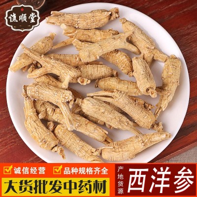 產地直銷西洋參段個花旗參短支粒頭可切片打粉散裝批發西洋參粒頭