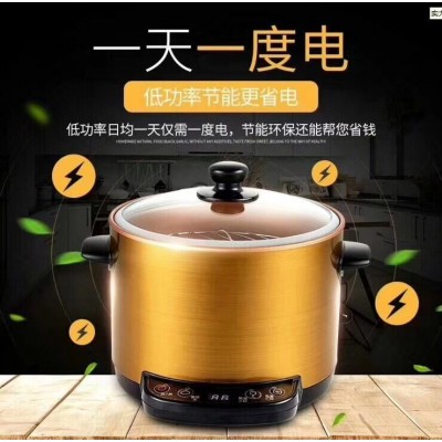廠家**新品白云山黑蒜機(jī) 黑蒜發(fā)酵機(jī)養(yǎng)生酵素機(jī)評點(diǎn)禮品