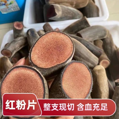 源頭廠家 批發(fā)干鹿茸片 紅粉片白粉片半蠟片規(guī)格齊全產(chǎn)地直供