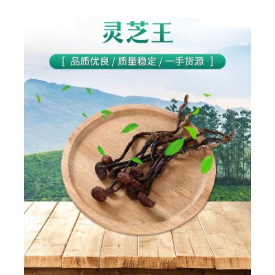 海南靈芝王 小紅靈芝 竹靈芝 一手貨源產(chǎn)地批發(fā)量大從優(yōu)一件代發(fā)