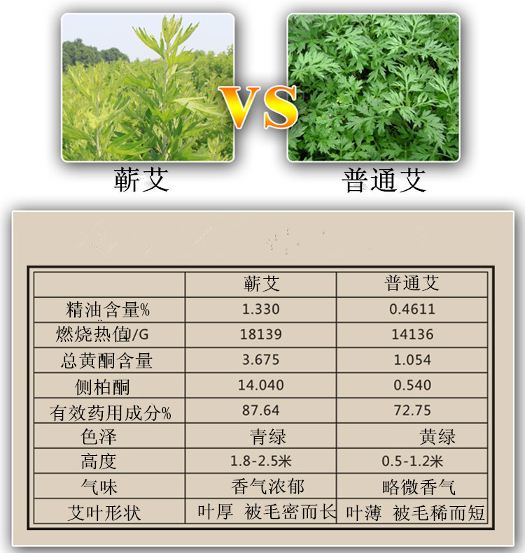 散條詳情_06_副本