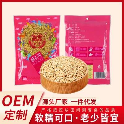燕麥胚芽米批發 廠家直銷磨皮裸燕麥430g 破壁裸燕麥米