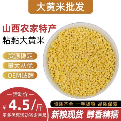 大黃米 農家自產源頭工廠可定制 OEM貼牌 黏香精糯 現貨供應500g