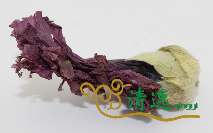 紫羅蘭 (5)