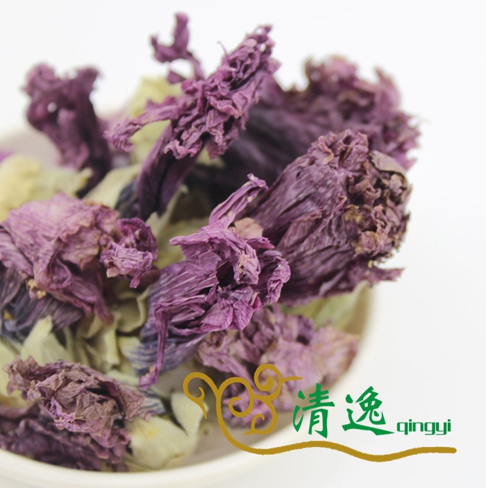 紫羅蘭 (1)