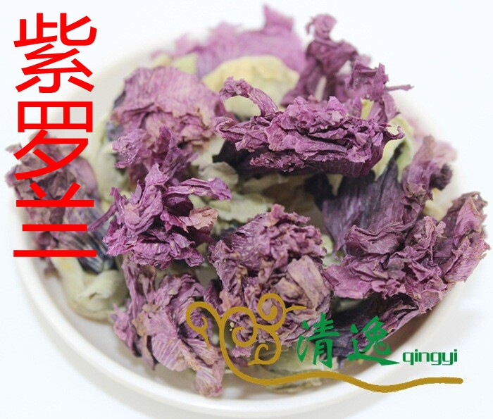 紫羅蘭