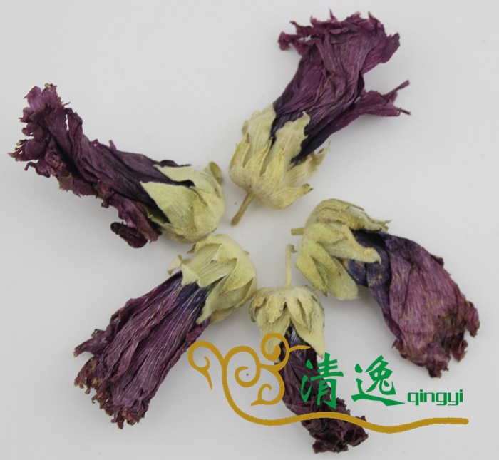 紫羅蘭 (6)