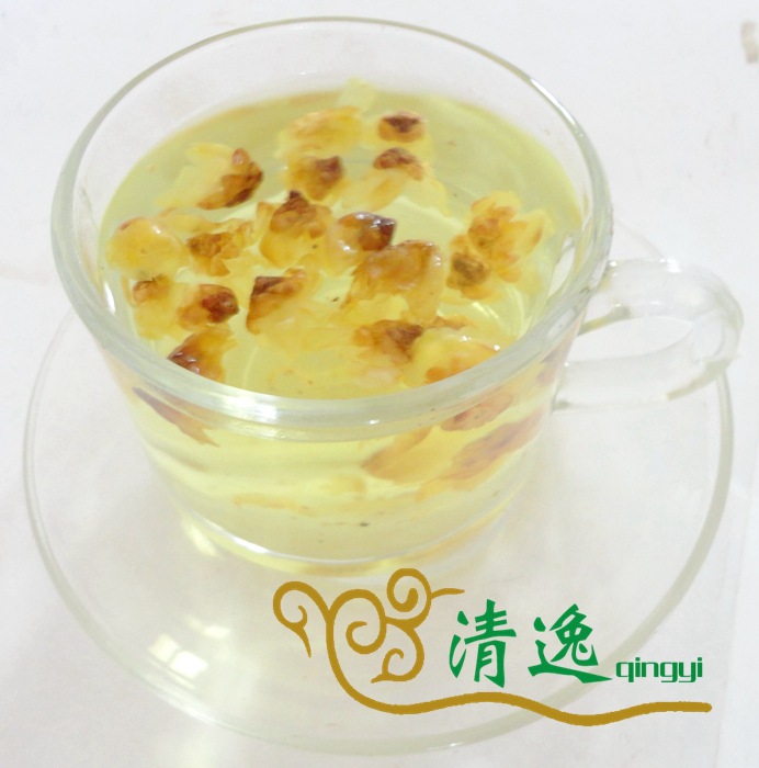 臘梅花 (12)