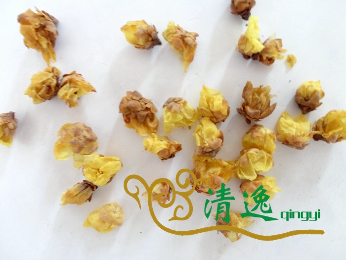 臘梅花 (5)