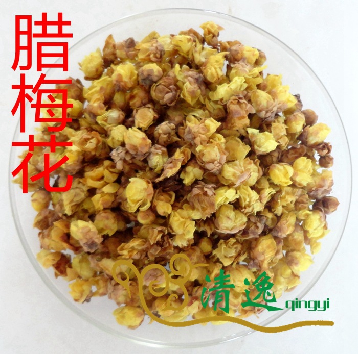 臘梅花 (1)