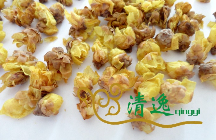 臘梅花 (6)