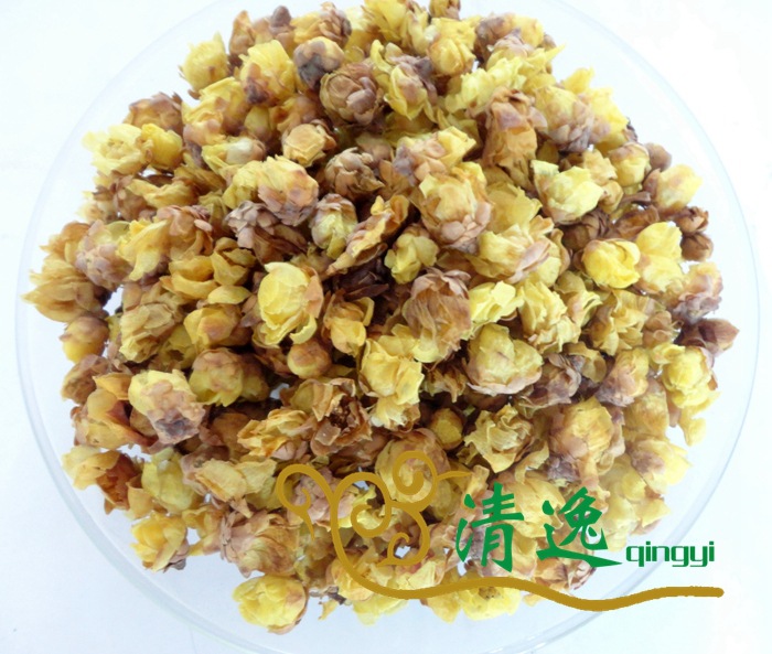 臘梅花 (3)