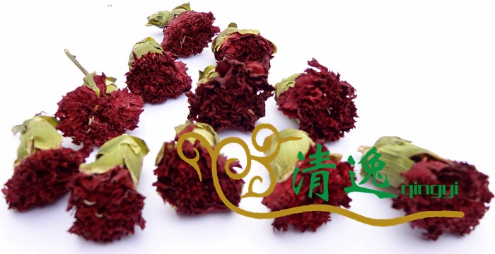 康乃馨 (7)