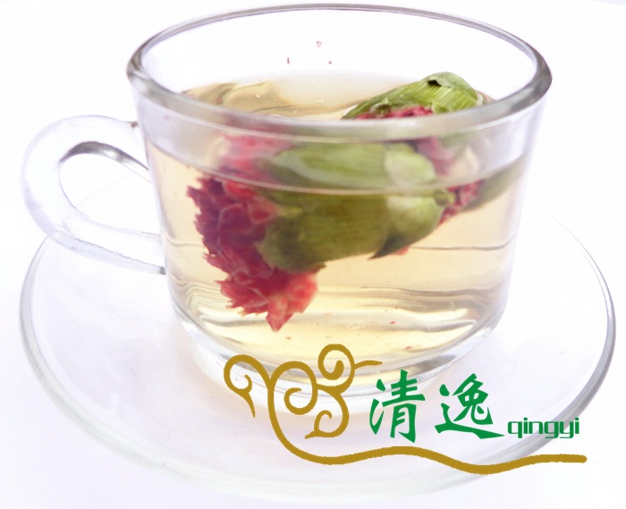 康乃馨