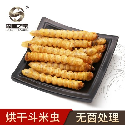 森林之寶烘干斗米蟲云實樹蛀蟲鳥不踏刺蟲天牛幼蟲補充白蛋白批發