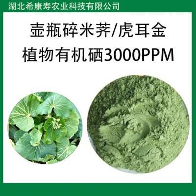 富硒薺菜粉硒蛋白 水溶性植物有機(jī)硒壺瓶堇葉碎米薺虎耳金
