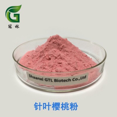 針葉櫻桃果粉 水溶性針葉櫻桃果汁粉 固體飲料原料
