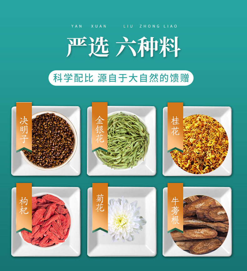 菊花決明子_03