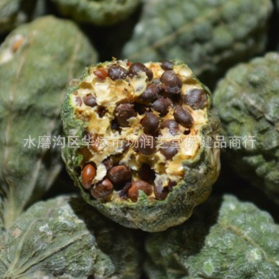 新疆野西瓜 植物干果500g泡酒料外用外敷 野西瓜勾刺槌果批發(fā)