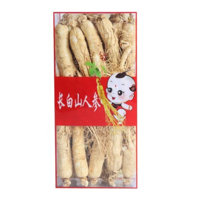 人參 批發(fā)吉林長(zhǎng)白山人參 批發(fā)各規(guī)格整枝盒裝白參生曬參