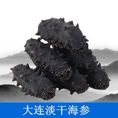 大連純淡干海參 仙鷺島批發 深海渤海灣遼參刺參干貨干參50克