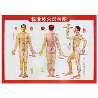 人體艾灸穴位圖艾灸圖人體經絡穴位圖艾灸療法圖拔罐刮痧圖按摩圖