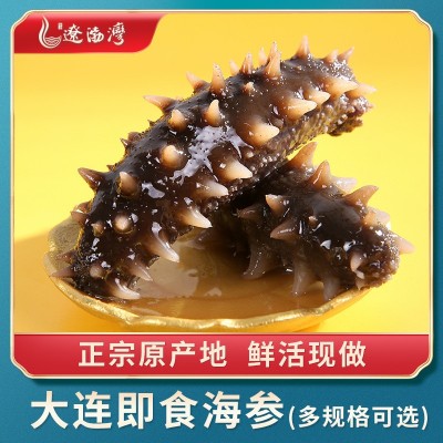遼渤灣大連海參即食海500g參遼刺參海鮮非干貨禮盒工廠批發