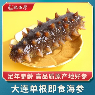 遼渤灣大連刺參即食海參鮮食批發冷凍海鮮遼參禮盒非干貨