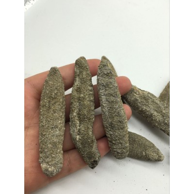 批發(fā)北極參 墨西哥有刺 北極刺參批 北極海參 一手貨源 500g批