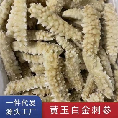 工廠貨源即食海參馬來西亞白金刺身黃玉白金刺身批發(fā)零售500g
