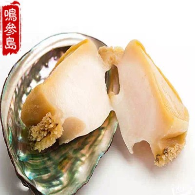 大連本地 全熟入味 即食鮑魚 長海縣深海 廠家加工銷售 500g一件