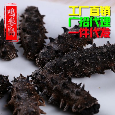 【源頭工廠】大連純淡干海參深海海參干貨批發(fā)干海參禮盒一件代發(fā)
