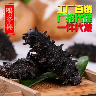 大連純淡干海參 深海海參干貨 廠家直銷貨源充足 可一件代發 50g