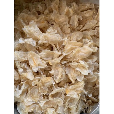石斑魚膠 石鳘肚膠 小雞蛋膠280頭 深海魚泡魚肚魚鰾筒膠批發500g
