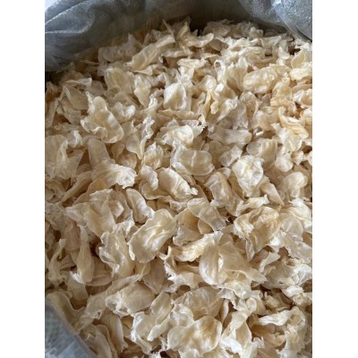 石斑魚膠 石鳘肚膠 小雞蛋膠200頭 深海魚泡魚肚魚鰾筒膠批發500g