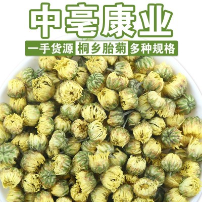 廠家批發頭采桐鄉胎菊 散裝杭白菊新貨胎菊王 源頭直發花茶菊花茶