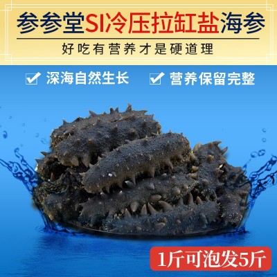 【順豐】煙臺參參堂海參批發冷壓拉缸鹽半干淡干大連海參干貨500g