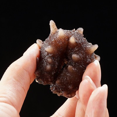 參參堂品牌廠家批發代發大連海參即食禮盒裝鮮活遼參刺參500g孕婦