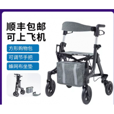 名珠老人助行器走路手推車老年輔助行走器步行扶手架拐杖學步車