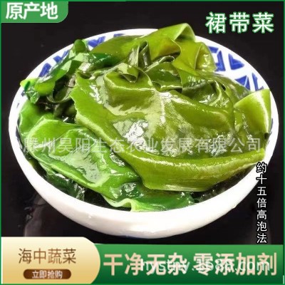 裙帶菜干貨批發裙帶菜批發裙帶菜一級裙帶菜寶寶烘干脫水裙帶菜