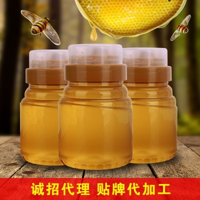 【工廠直供】蜂蜜批發500g土蜂蜜百花蜜棗花蜜制品一件代發