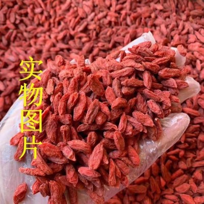 新貨 寧夏枸杞 500克裝優選枸杞花果茶材料散裝批發 量大從優