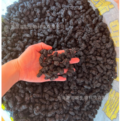 原產地大貨水洗黑桑葚干桑椹干不熏不染農產品無沙免洗沖泡桑葚茶