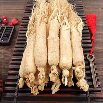 批發東北吉林長白山人參 干貨圓參滋補白參整枝生曬參煲湯泡酒料