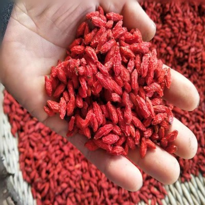 2022新貨河北枸杞子頭茬 無熏制紅枸杞 茍杞子500g良心紅枸杞批發(fā)