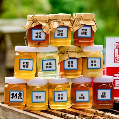 蜂蜜百花蜜500g/瓶散裝洋槐蜜枇杷蜜龍眼蜜棗花蜜桂花蜜土蜂批發